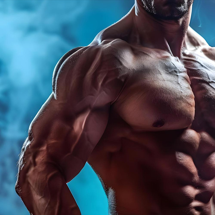 Peptidek és regeneráció